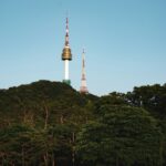 N Seoul Tower above the forested slope of Namsan mountain