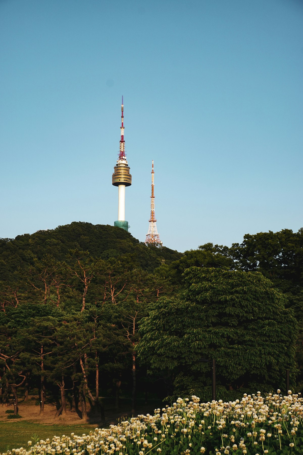 N Seoul Tower above the forested slope of Namsan mountain